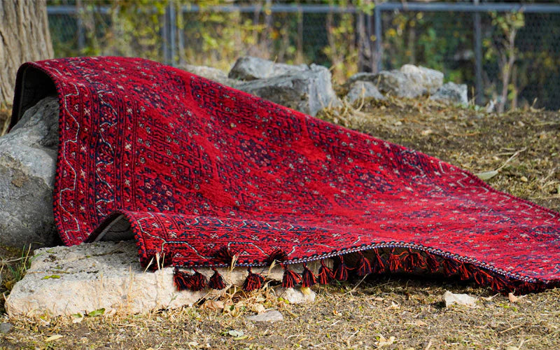 Halıcızade Kehribar Serisi