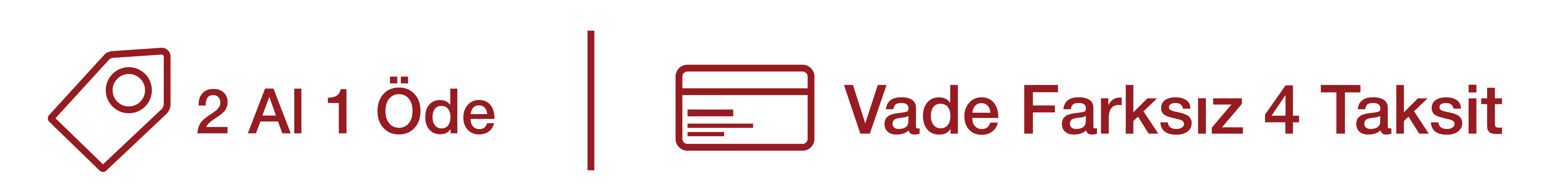 2 al 1 ode - Vade farksız 4 taksit - halıcızade