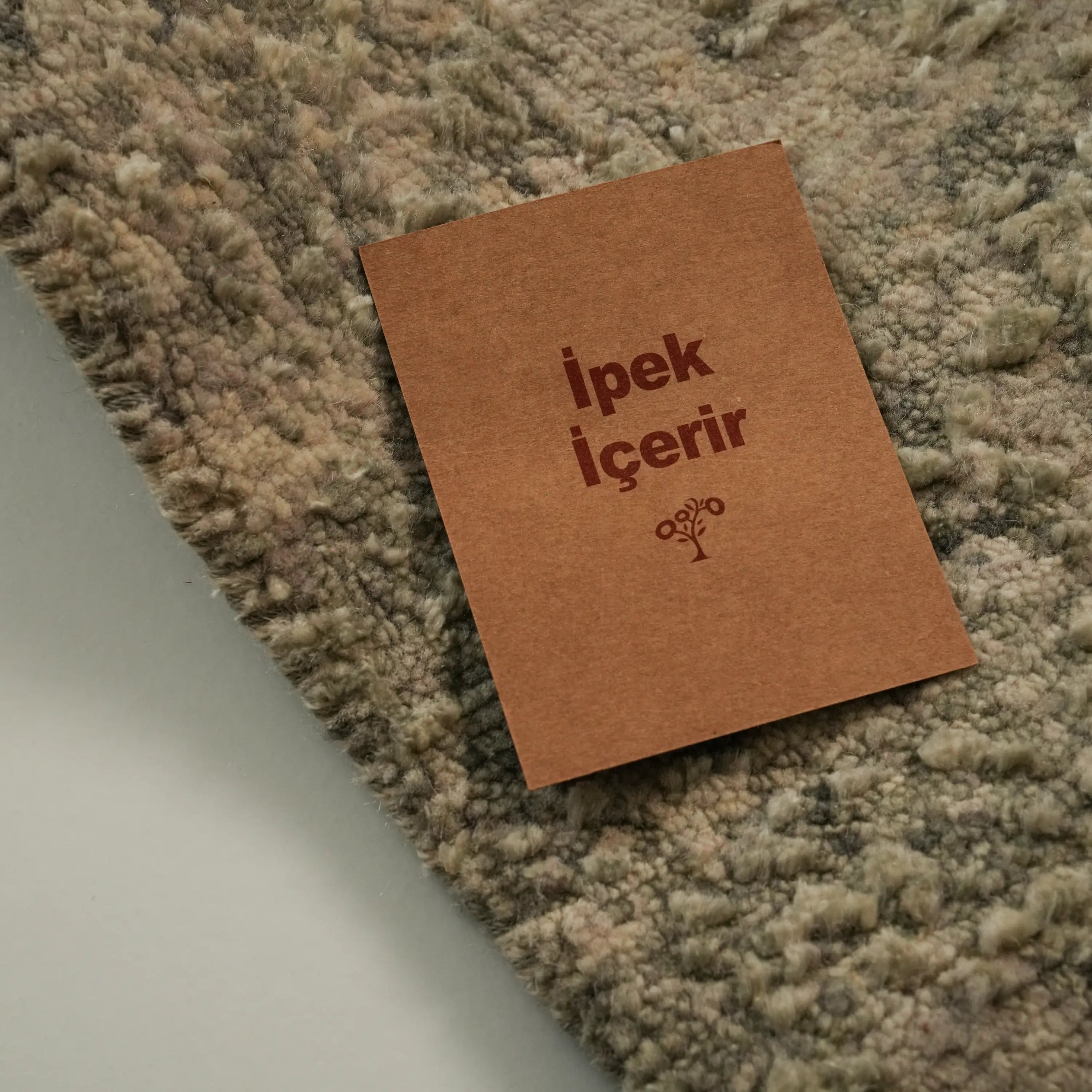 Aren Series Handwoven Vintage Patterned Gray Silky Rug