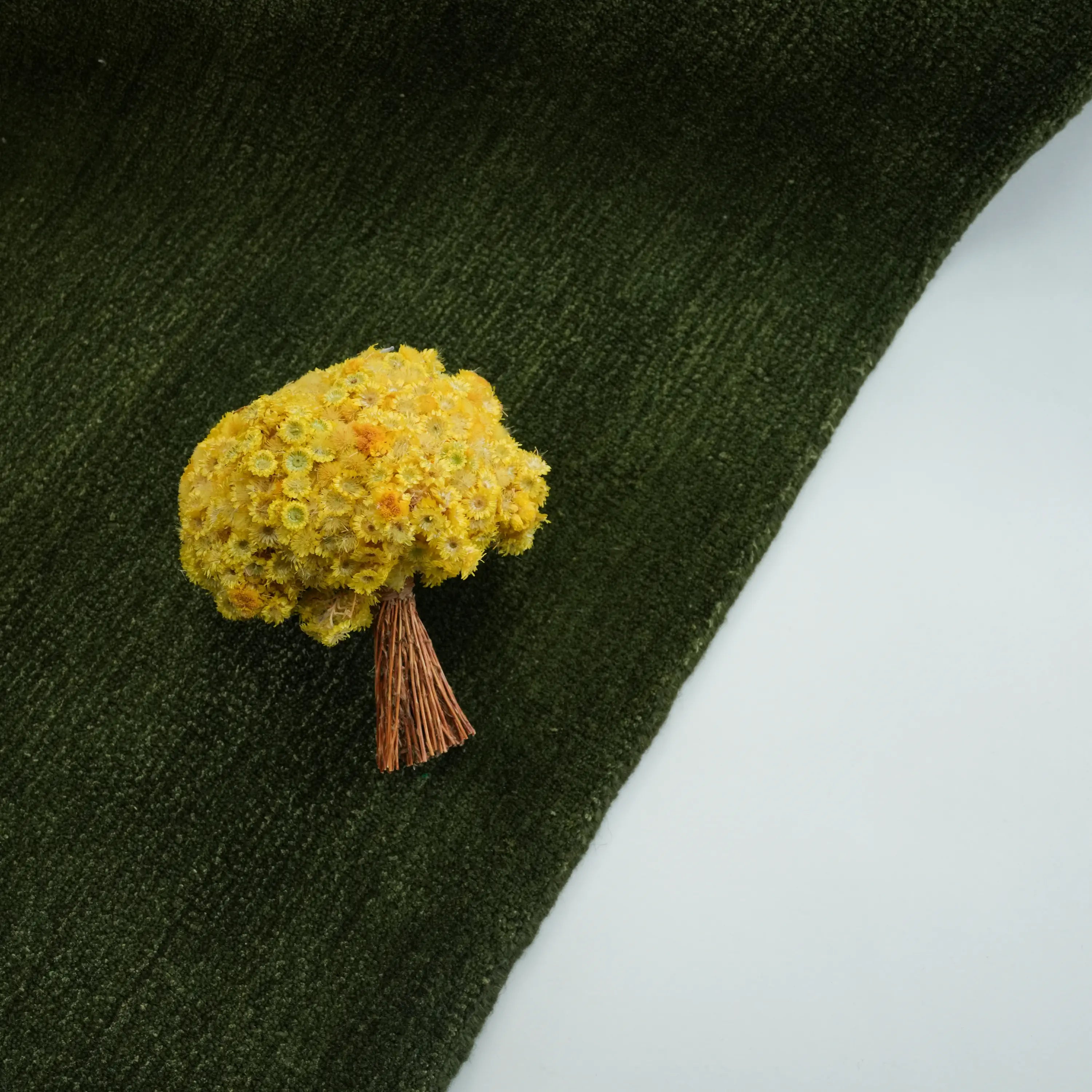 Focus Series Plain Design Hand Woven Carpet