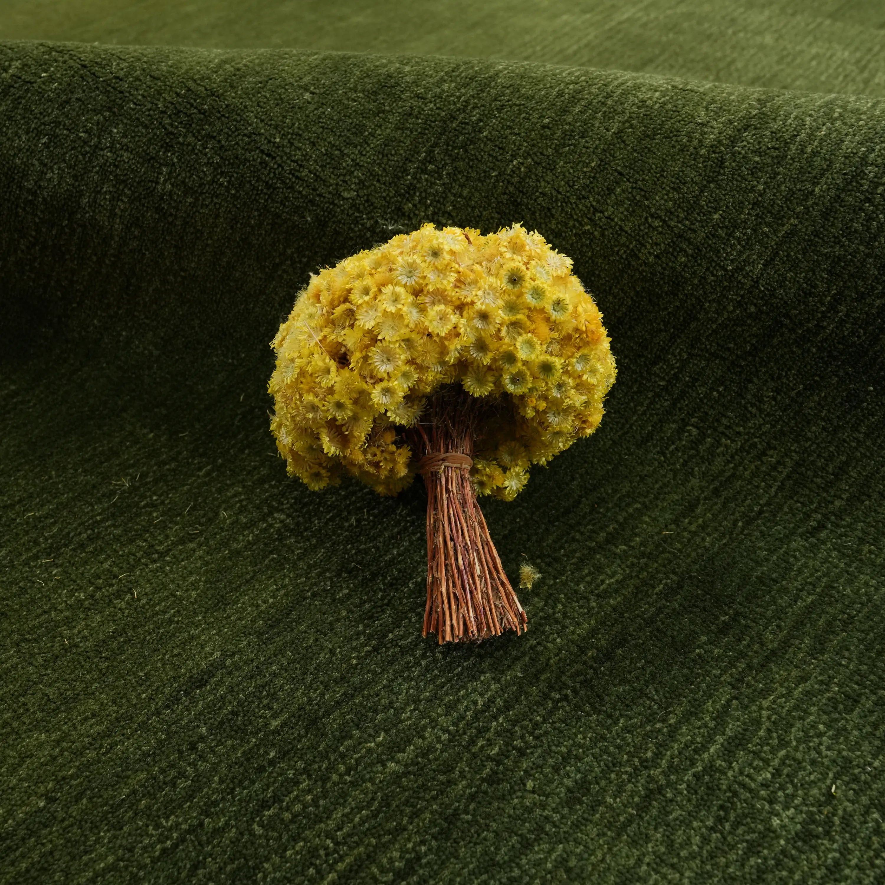 Focus Series Plain Design Hand Woven Carpet