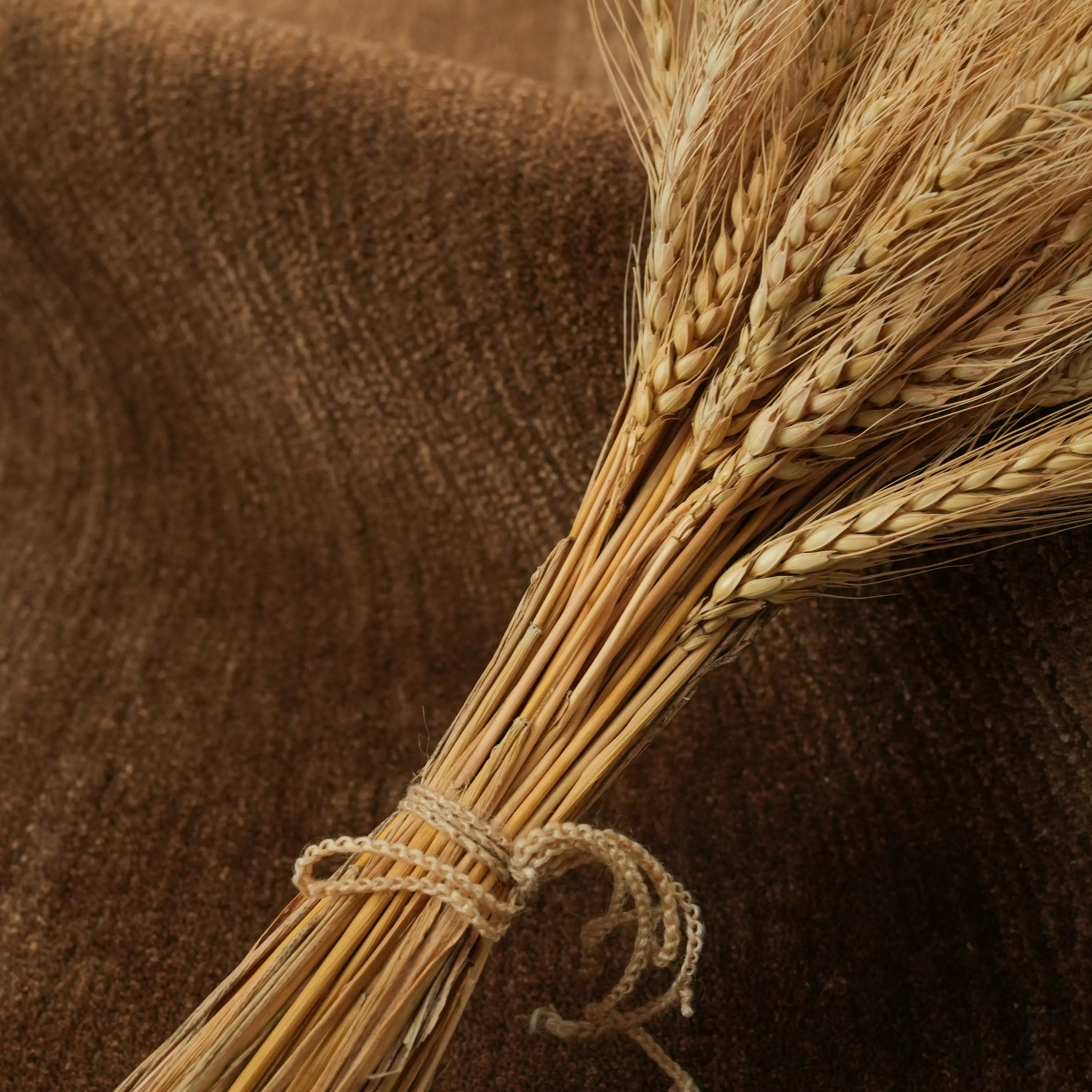 Focus Series Plain Design Hand Woven Carpet