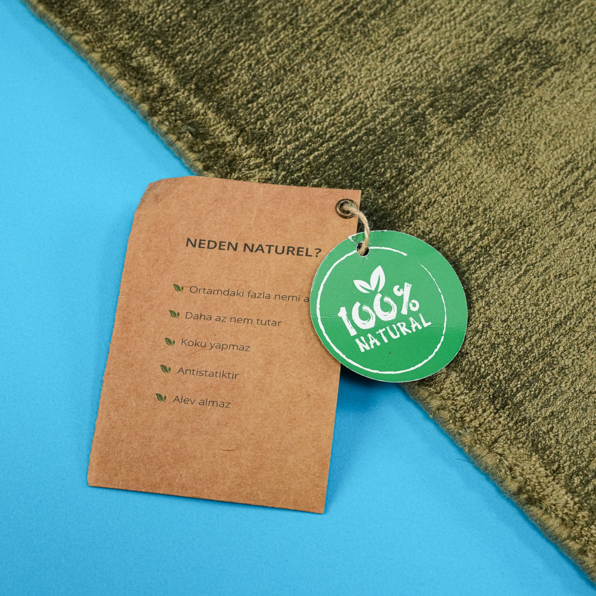 Bench Woven Simple Patterned Green Viscose Rug