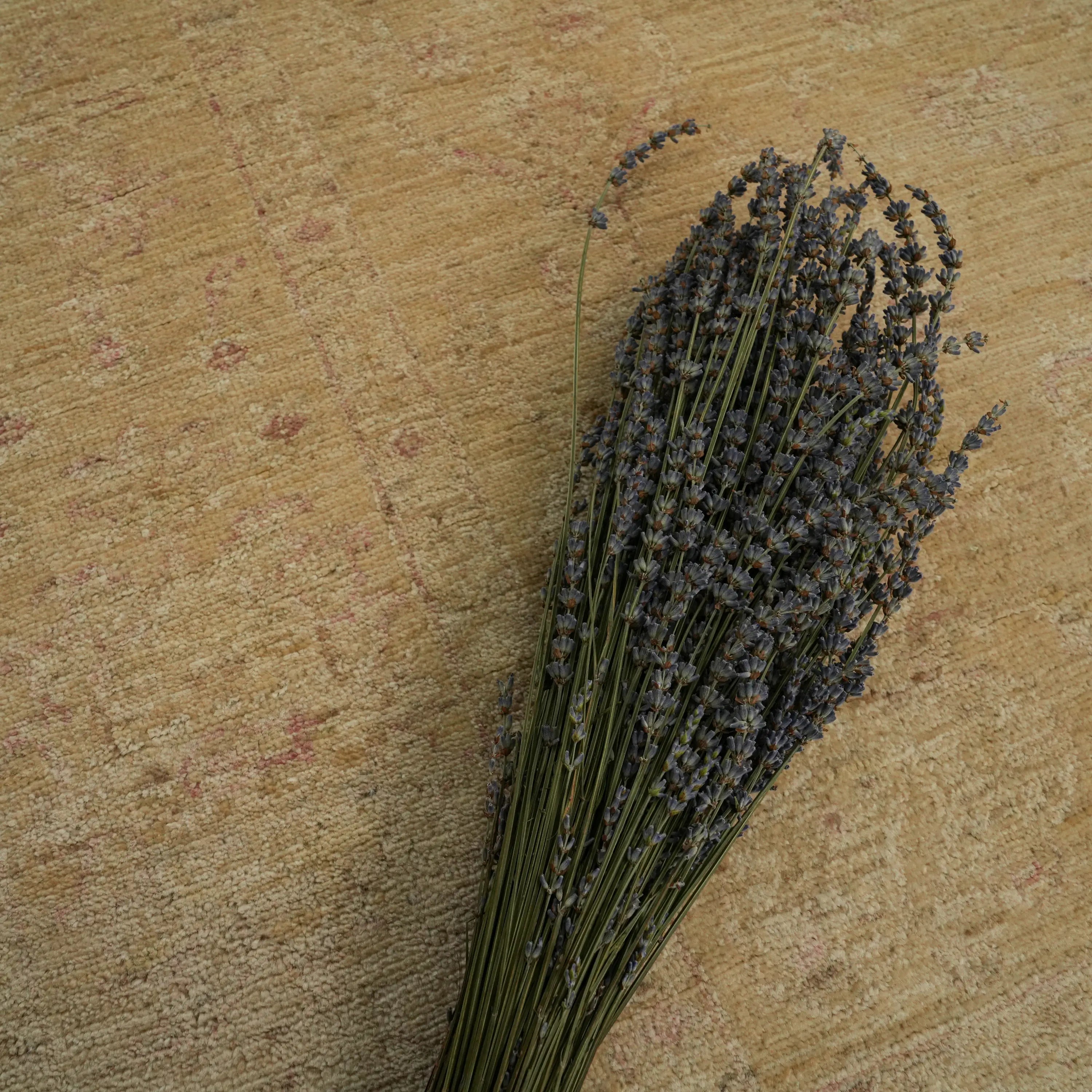 Mahal Series Handwoven Vintage Pattern Cream Wool Rug