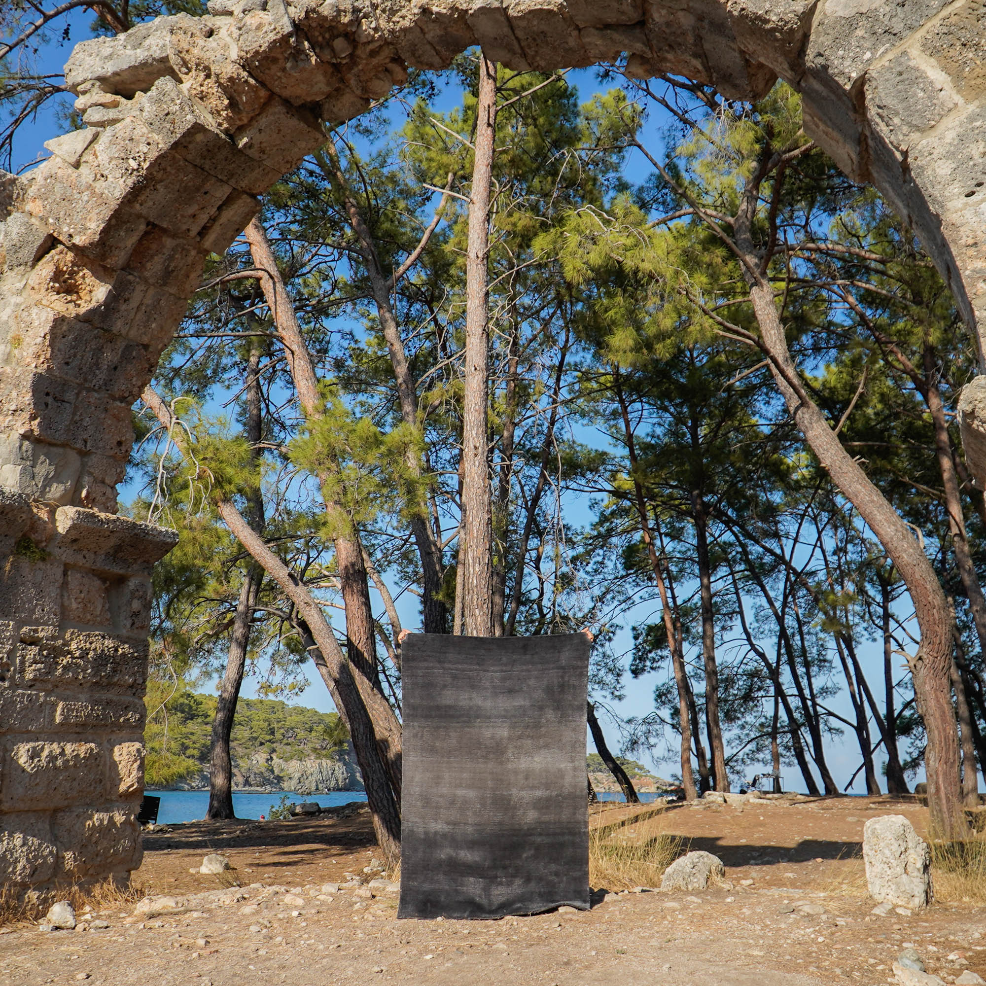 Focus Series Plain Design Hand Woven Carpet