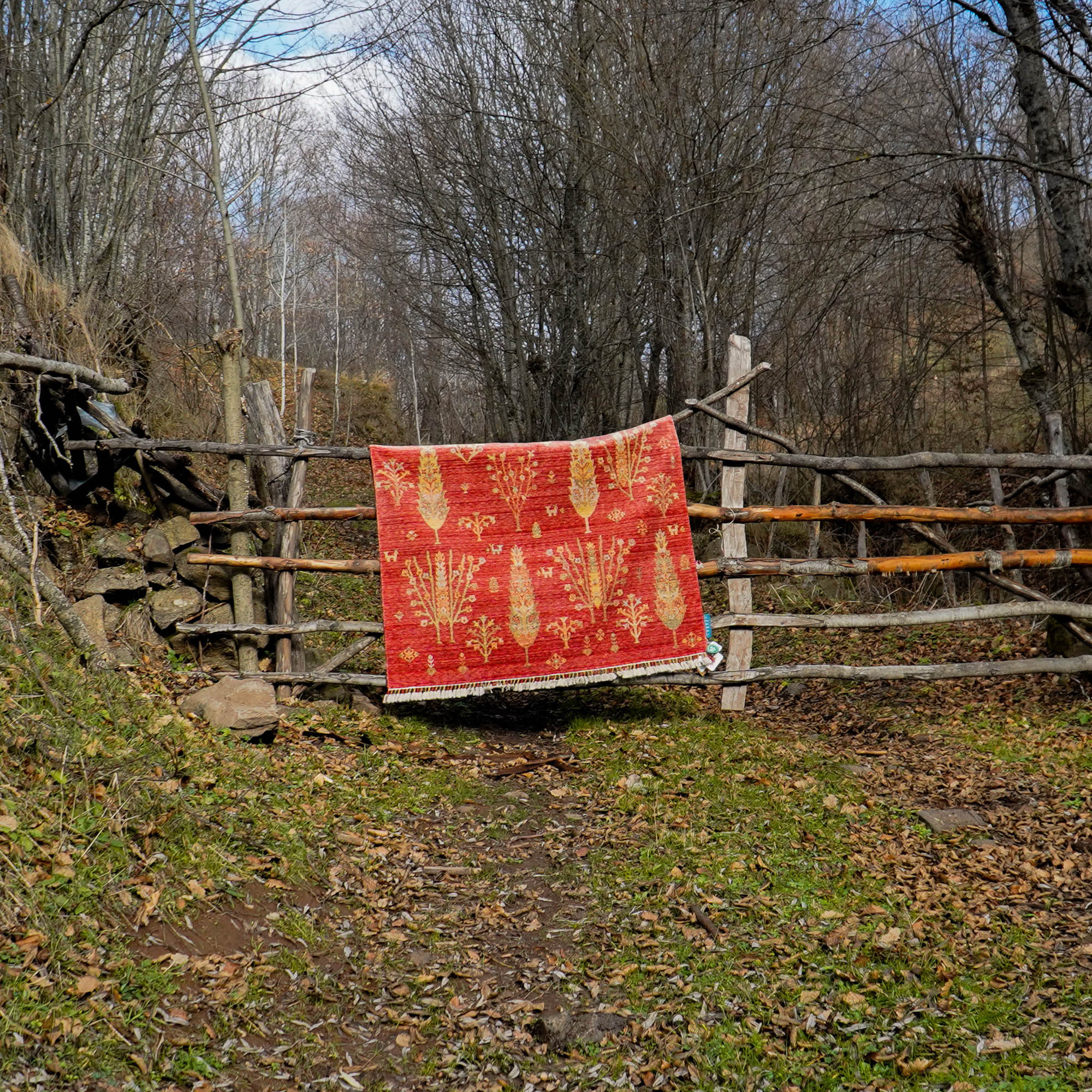 Zara Serisi Otantik Desenli Tezgah Dokuma Halı