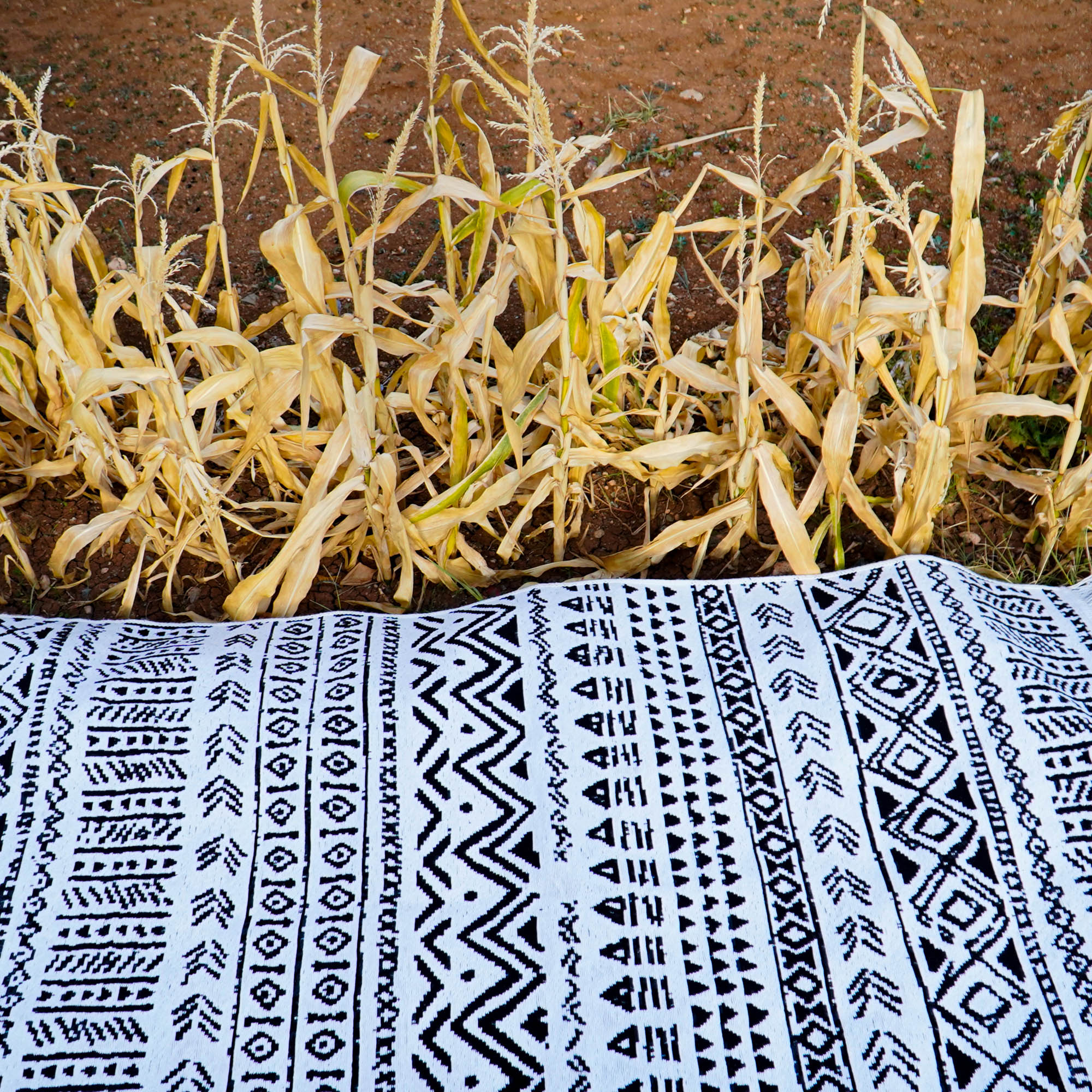 Kehribar Serisi Makine Dokuma Siyah Geometrik Desenli Kilim