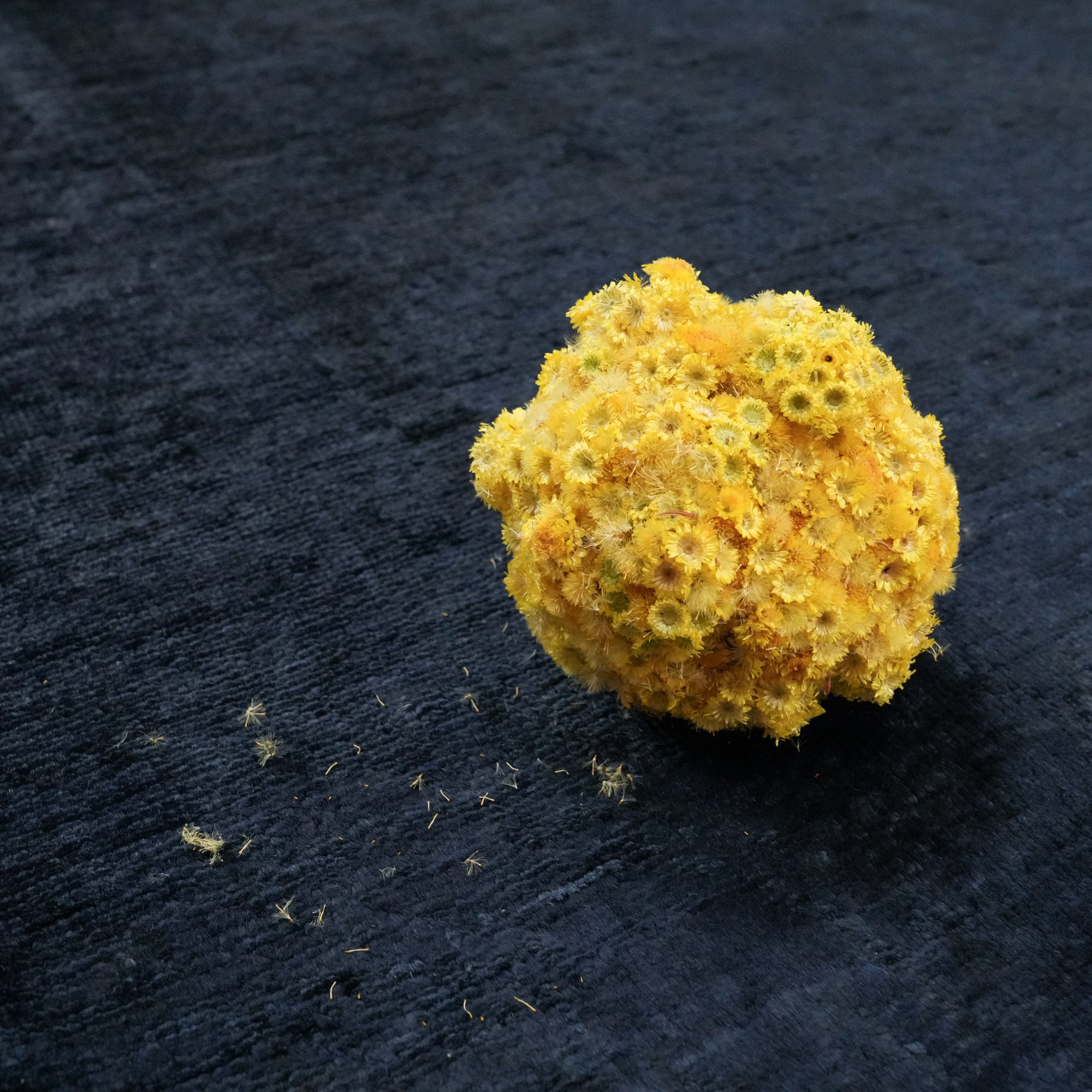 Retro Serisi El Dokuma Vintage Desenli Lacivert Yün Halı