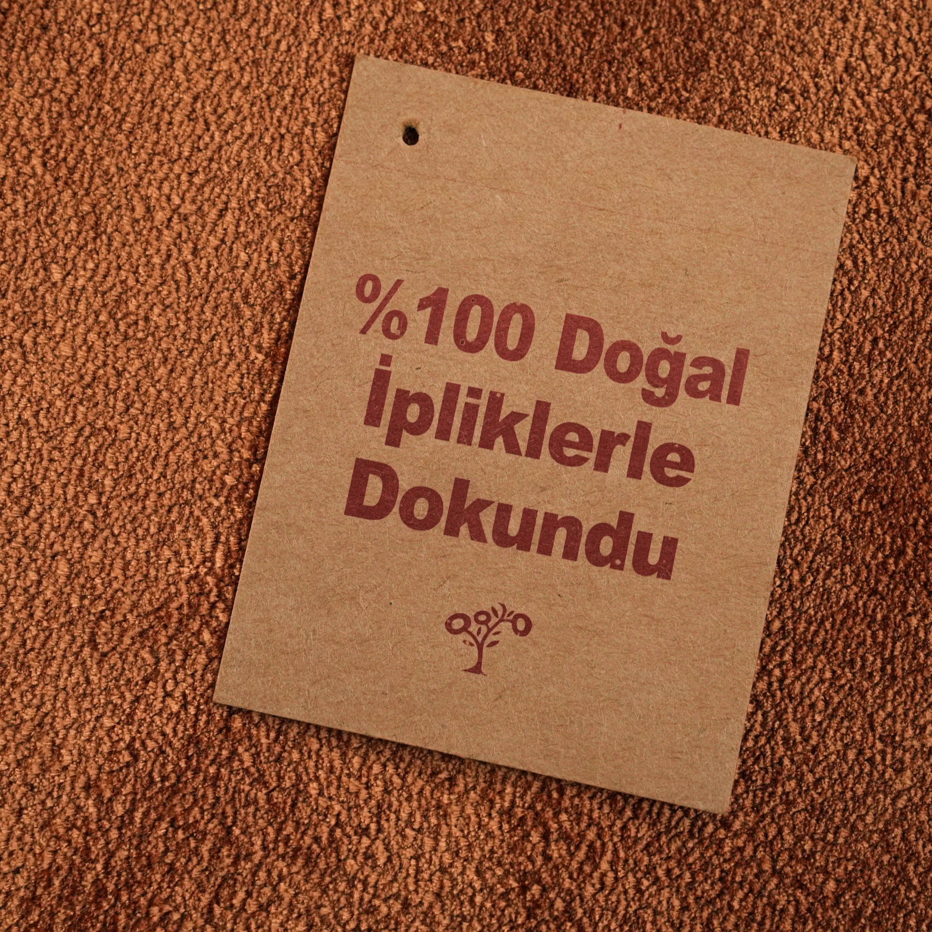 Plain Patterned Terra Viscose Rug