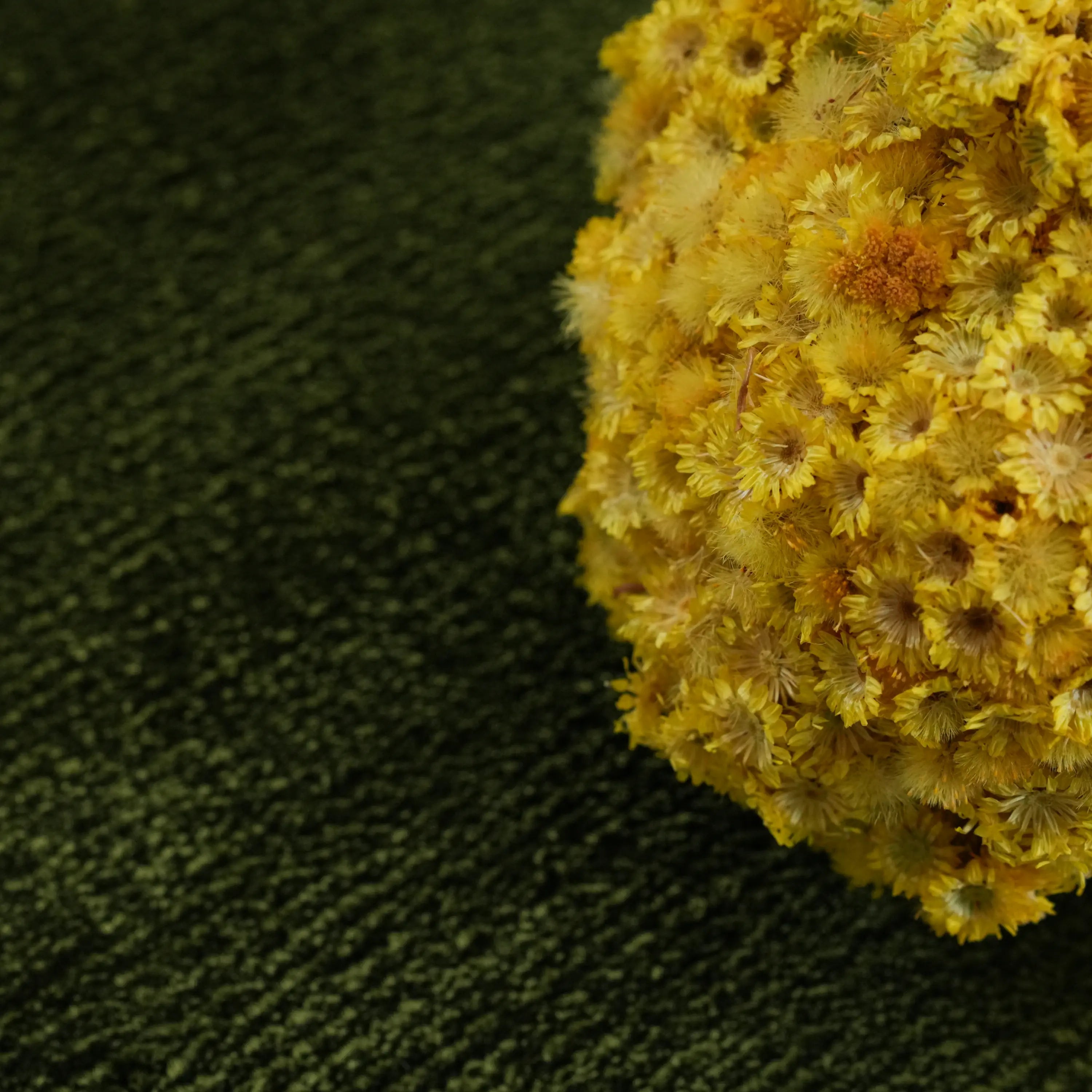 Plain Patterned Green Viscose Rug