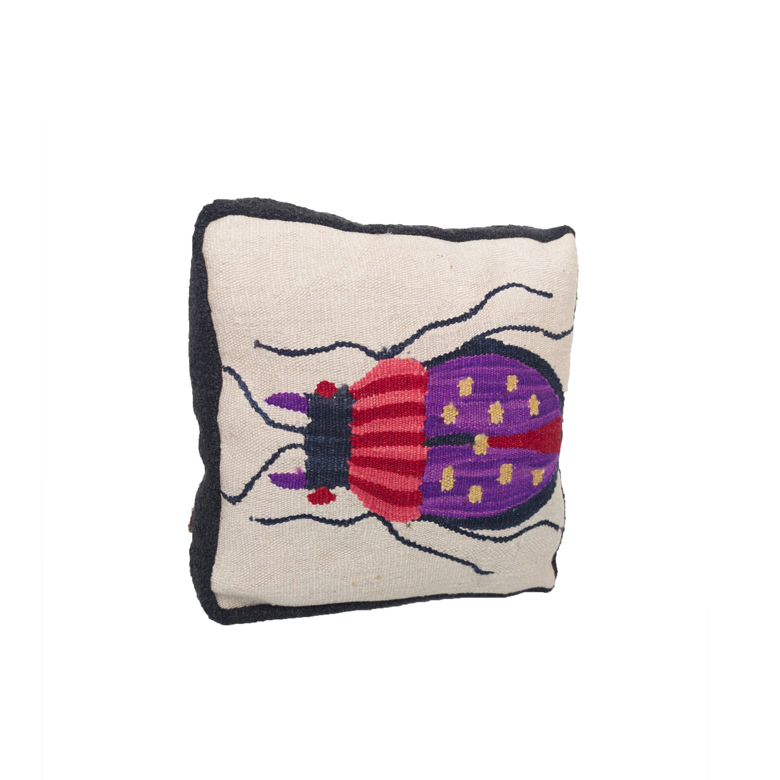 Studio Potato Bug Hand Woven Cushion