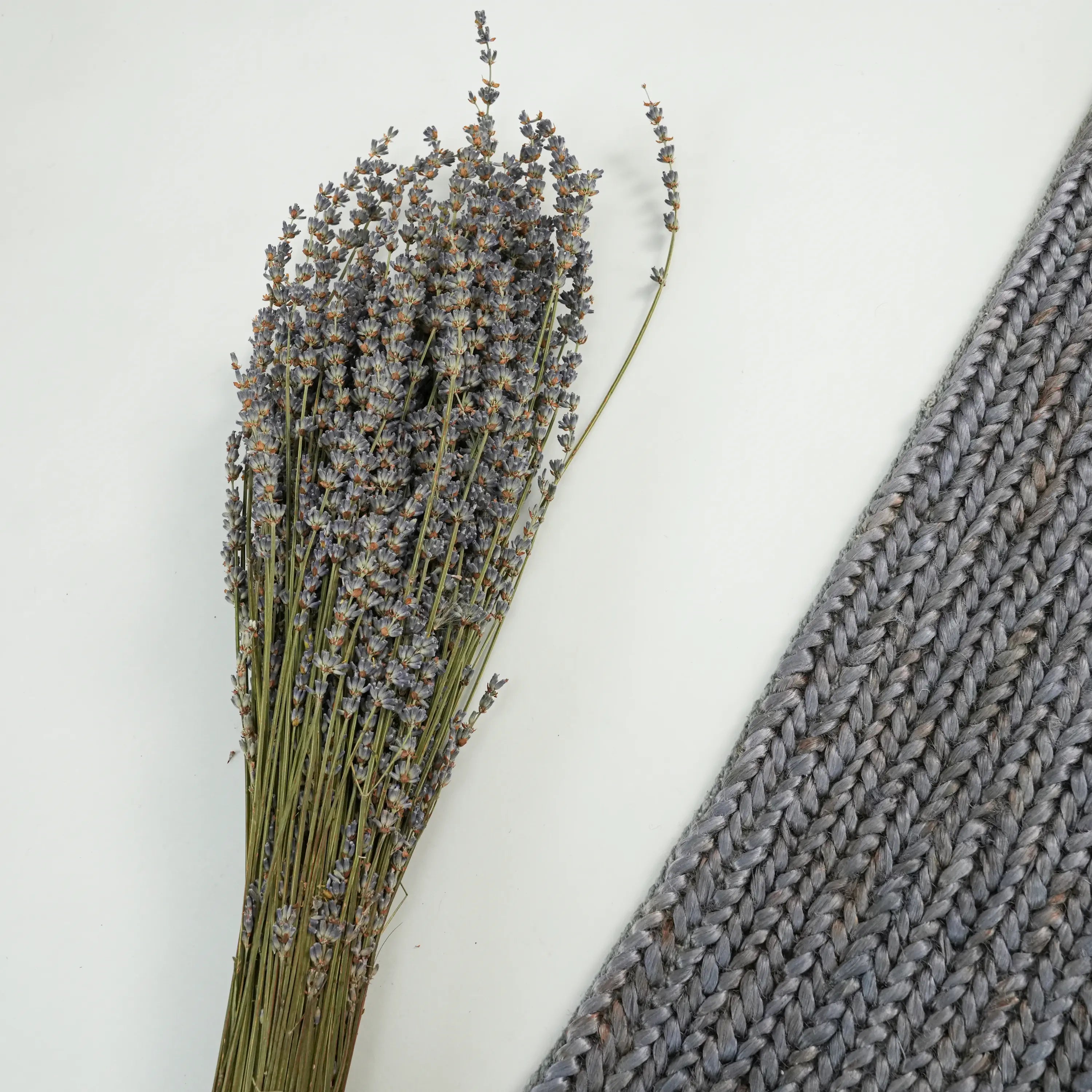 Bolga Serisi El Dokuma Sade Desenli Antrasit Halı