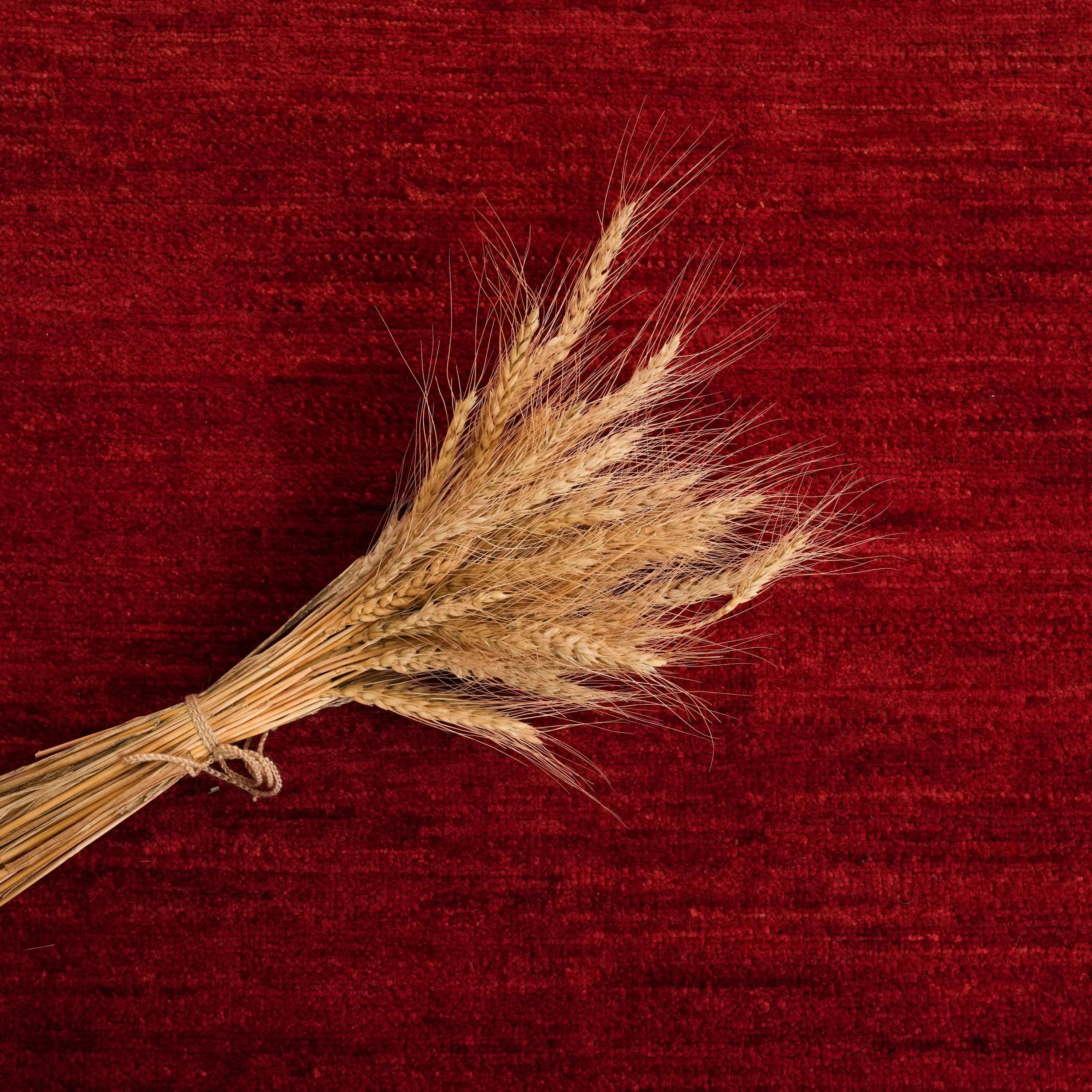 Pinhan Series Handwoven Plain Pattern Wool Red Rug