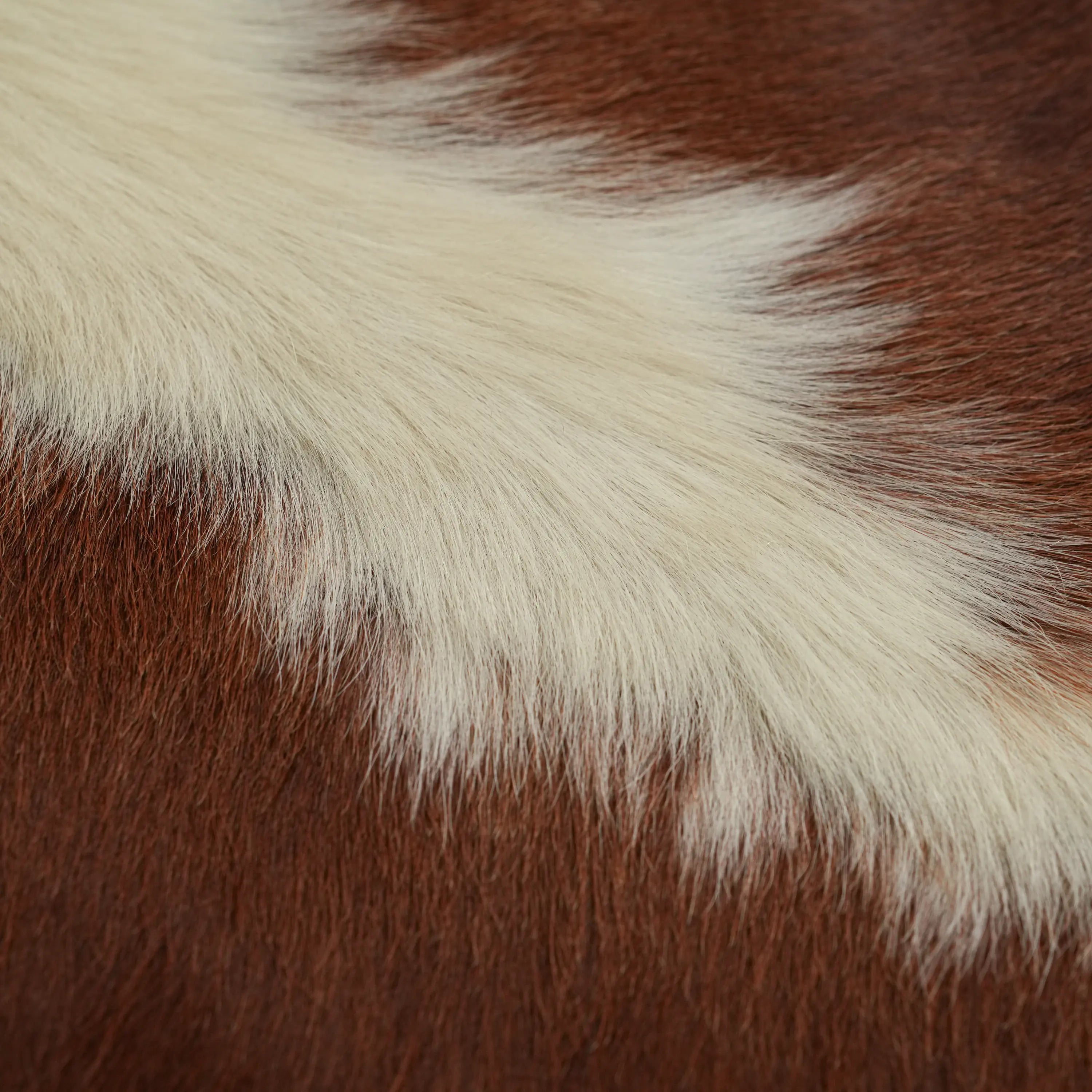 Abstract Patterned Brown Modern Leather Rug