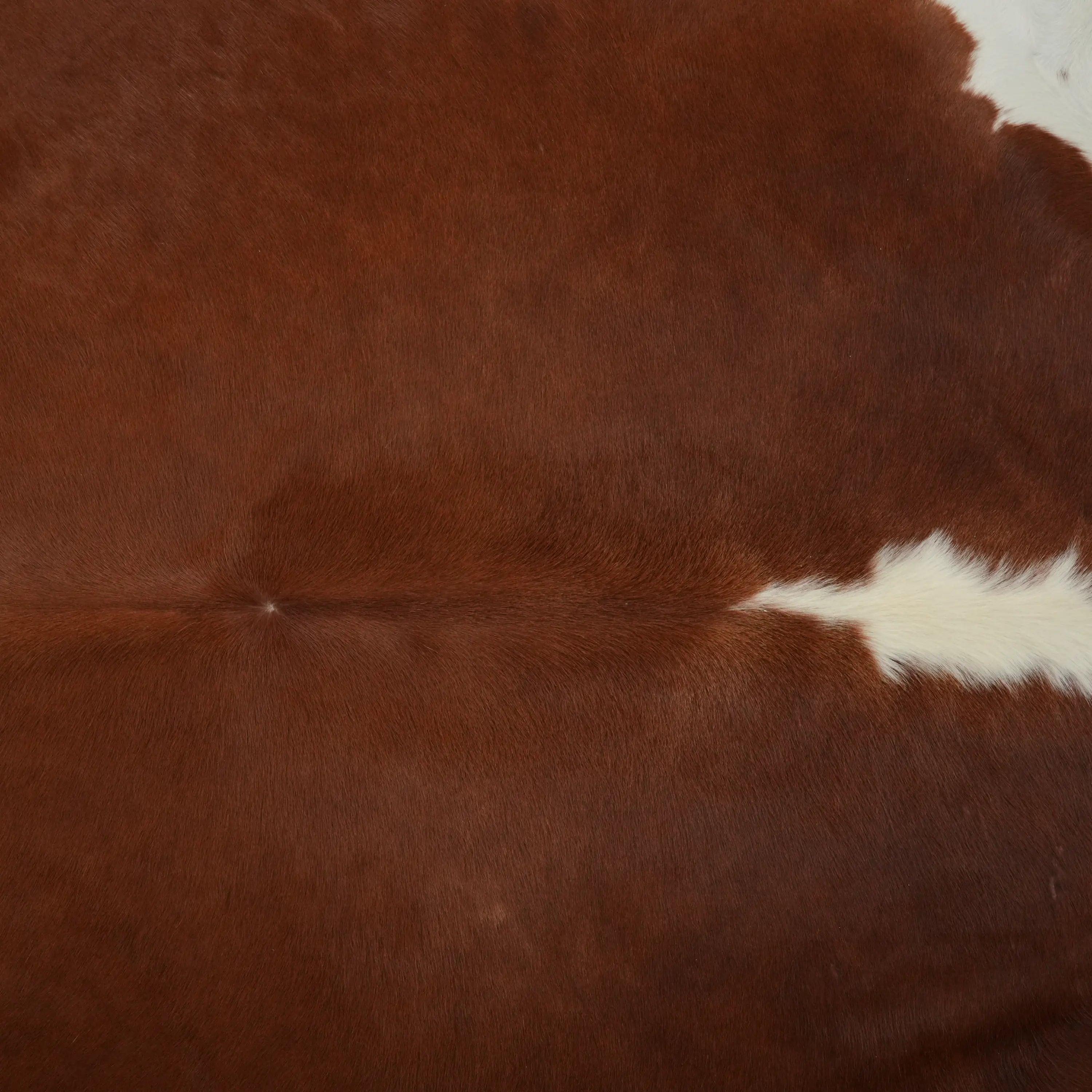 Abstract Patterned Brown Modern Leather Rug