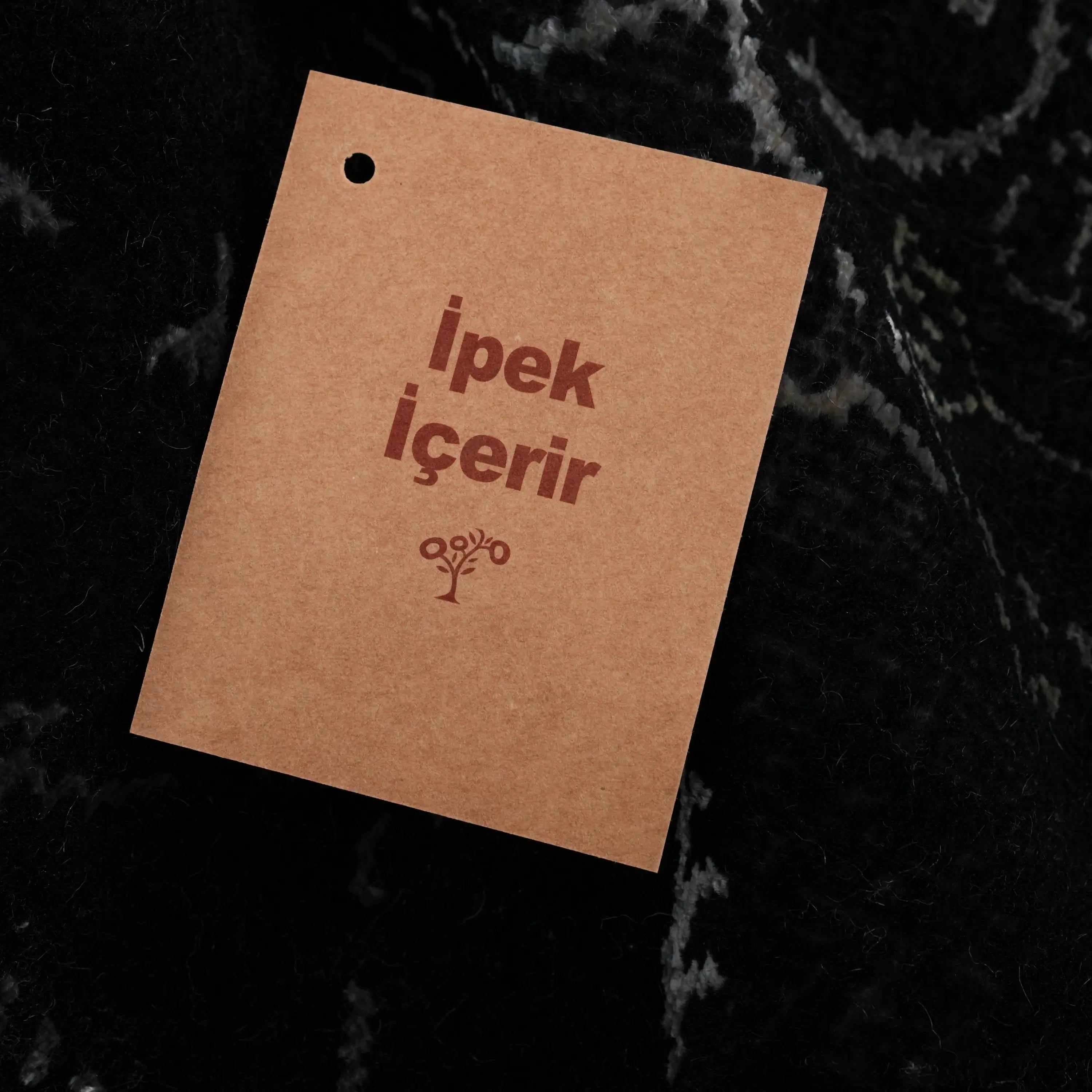 Sultan Series Handwoven Framed Patterned Silk Black Rug