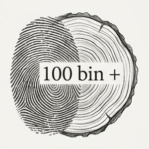 Şimdiye Kadar Serilenlerin Toplamı