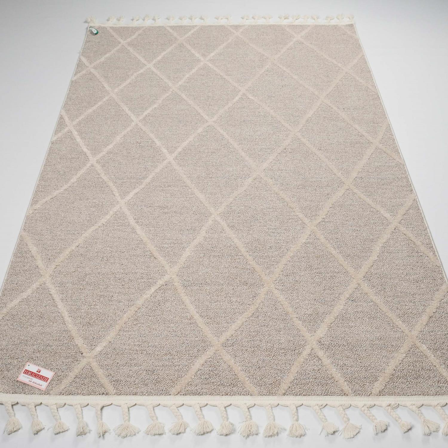 Etna Series Scandinavian Patterned Machine Woven Carpet