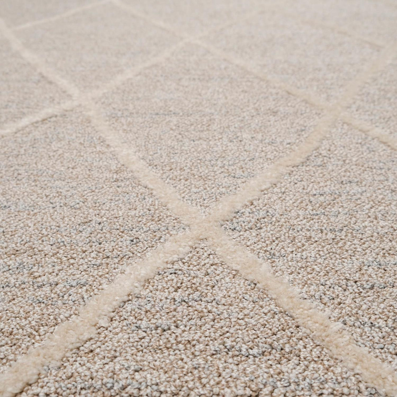 Etna Series Scandinavian Patterned Machine Woven Carpet