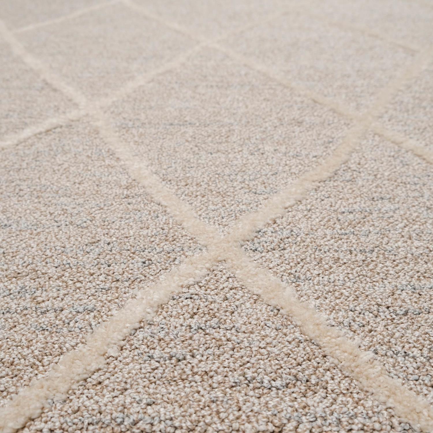 Etna Series Scandinavian Patterned Machine Woven Carpet