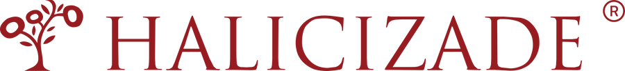 HALICIZADE