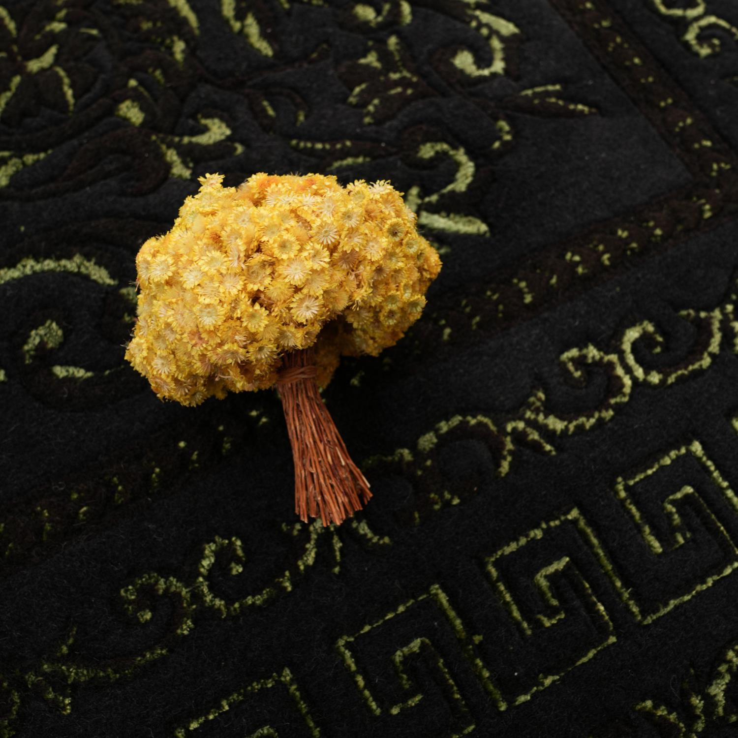 Versace Serisi El Dokuma Versace Desenli Siyah İpekli Halı